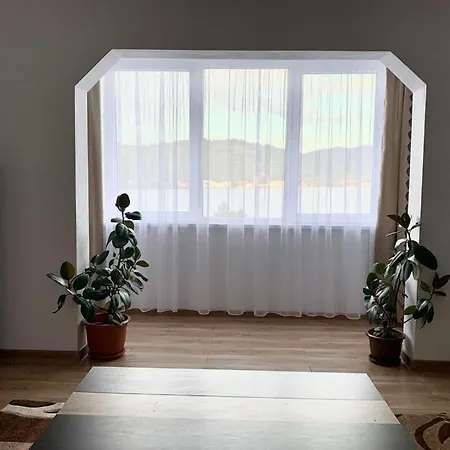 Cazare Apartament *